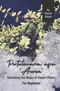 Portulacaria afra 'Aurea'