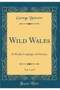 Wild Wales, Vol. 3 of 3: Its People, Language, and Scenery (Classic Reprint)