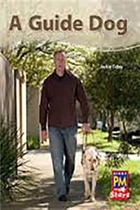 Guide Dog