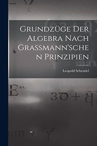 Grundzüge der Algebra Nach Grassmann'schen Prinzipien