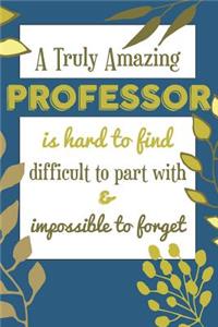 A Truly Amazing PROFESSOR Is Hard To Find Difficult To Part With & Impossible To Forget