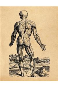Anatomy Notebook