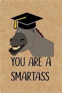 You Are a Smartass