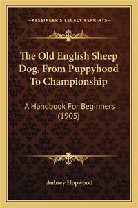 Old English Sheep Dog, from Puppyhood to Championship