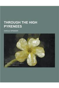 Through the High Pyrenees