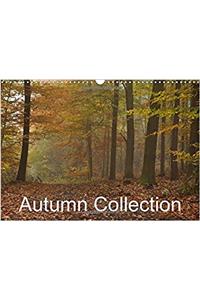 Autumn Collection 2017