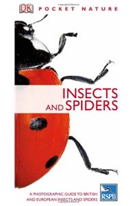 Insects (Pocket Nature)