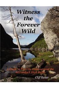 Witness the Forever Wild, A Guide to Favorite Hikes around the Adirondack High Peaks