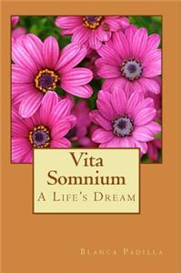 Vita Somnium