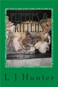 Puppies & Kittens