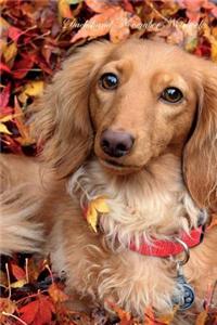 Dachshund November Notebook Dachshund Record, Log, Diary, Special Memories, to Do List, Academic Notepad, Scrapbook & More