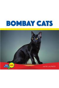 Bombay Cats