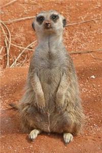 Say Hello to the Meerkat Journal: 150 Page Lined Notebook/Diary