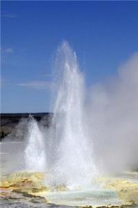 Geyser in Yellowstone National Park Journal