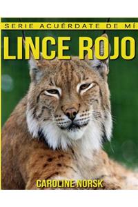 Lince rojo: Libro de imágenes asombrosas y datos curiosos sobre los Lince rojo para niños