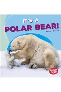 It's a Polar Bear!