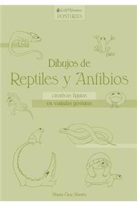 Dibujos de Reptiles Y Anfibios: Creativas Figuras En Variadas Posturas