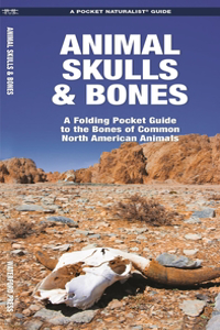 Animal Skulls & Bones Laminated