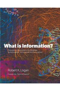 What is Information?