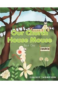 Our Church House Mouse