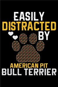 Easily Distracted by American Pit Bull Terrier
