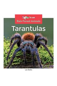 Tarantulas