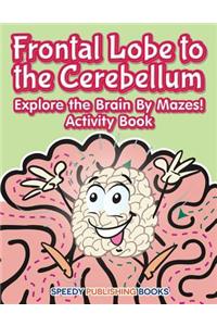 Frontal Lobe to the Cerebellum