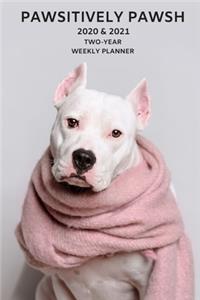2020 & 2021 Two-Year Weekly Planner For Pit Bull - Funny Staffordshire Terrier Dog Pun Appointment Book Gift - Two Year Agenda Notebook
