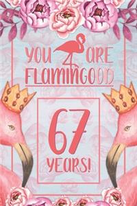 67th Birthday Journal: Lined Journal / Notebook - Flamingo Themed Birthday Gift for Her - Fun And Practical Alternative to a Card - 67 Years Old Gift for Women - Funny You