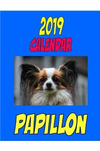 2019 Calendar Papillon