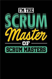 I'm the Scrum Master of Scrum Masters