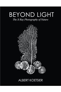 Beyond Light