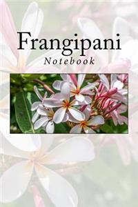 Frangipani