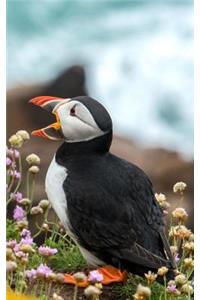 Puffins Lined Notebook