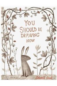 Sketch book ( Blank journal )