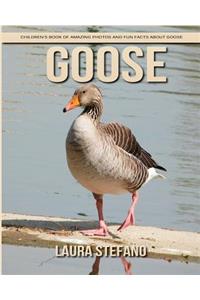 Goose