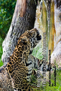 Big Cats