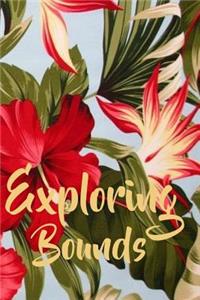 Exploring Bounds: Journal