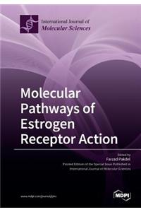 Molecular Pathways of Estrogen Receptor Action