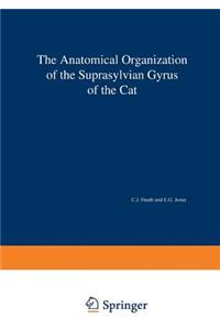 Anatomical Organization of the Suprasylvian Gyrus of the Cat