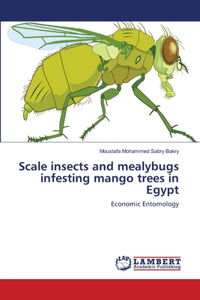Scale insects and mealybugs infesting mango trees in Egypt