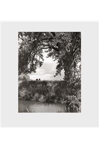 Robert Adams: Cottonwoods