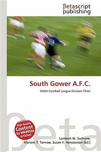 South Gower A.F.C.