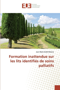 Formation inattendue sur les lits identifiés de soins palliatifs