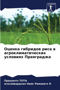 Оценка гибридов риса в агроклиматических