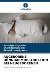 Angeborene Dünndarmobstruktion Bei Neugeborenen