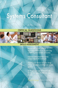 Systems Consultant Critical Questions Skills Assessment