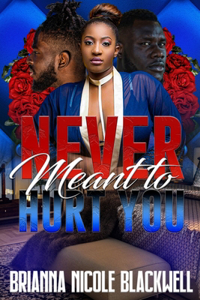 Never Meant to Hurt You