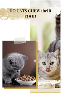 DO CATS CHEW thеIR FOOD