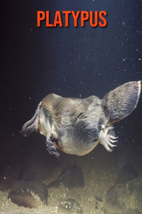 Platypus